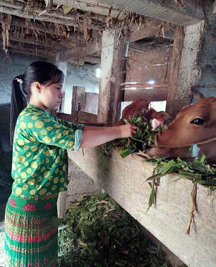 Những kỳ nghỉ hè ở trường về nhà, Mua Thị Chở làm lụng rất chăm chỉ nhiều công việc nhưng cũng không đủ tiền để học đại học.