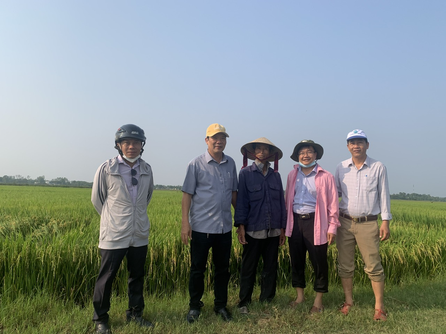 Đẩy mạnh, tăng cường và mở rộng liên kết giữa doanh nghiệp, hợp tác xã và hộ nông dân để phát triển sản xuất.