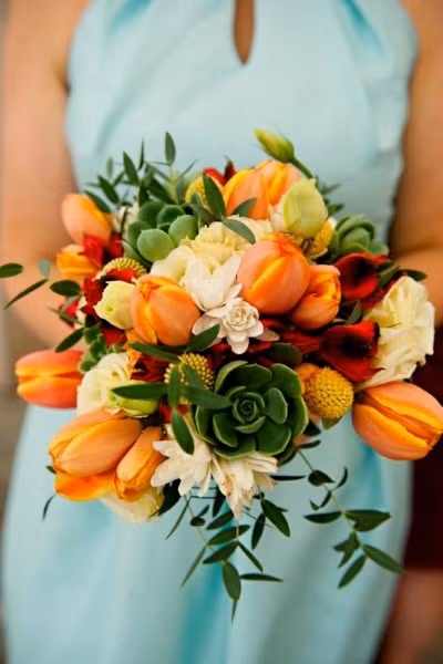 Rực rỡ hoa tulip ảnh 4