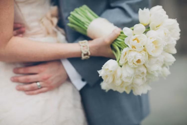 Rực rỡ hoa tulip ảnh 3