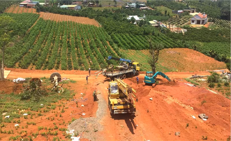 Chỉ một thời gian ngắn buông lỏng quản lý, hàng loạt đồi chè tại Lâm Đồng đã bị băm nát.