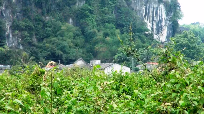 Dự án nhà máy xi măng Thanh Sơn bỏ hoang hơn một thập kỷ.