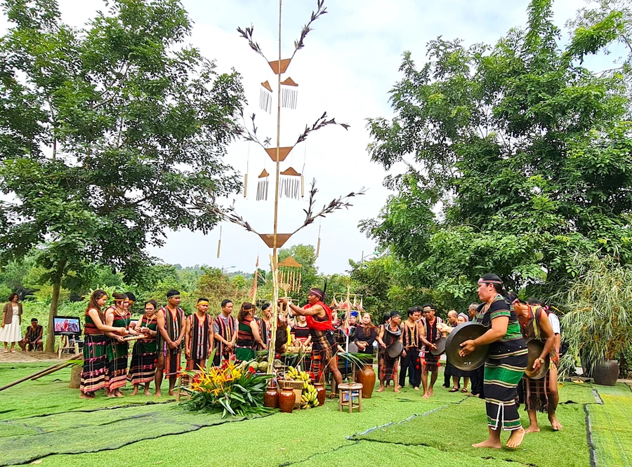 Già làng Điểu Xa Rông thực hiện các nghi lễ tại cây nêu.