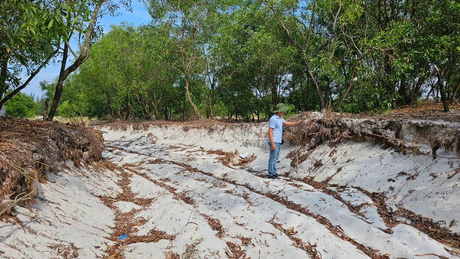 Một điểm khai thác cát trái phép quy mô lớn tại xã Triệu Trạch.