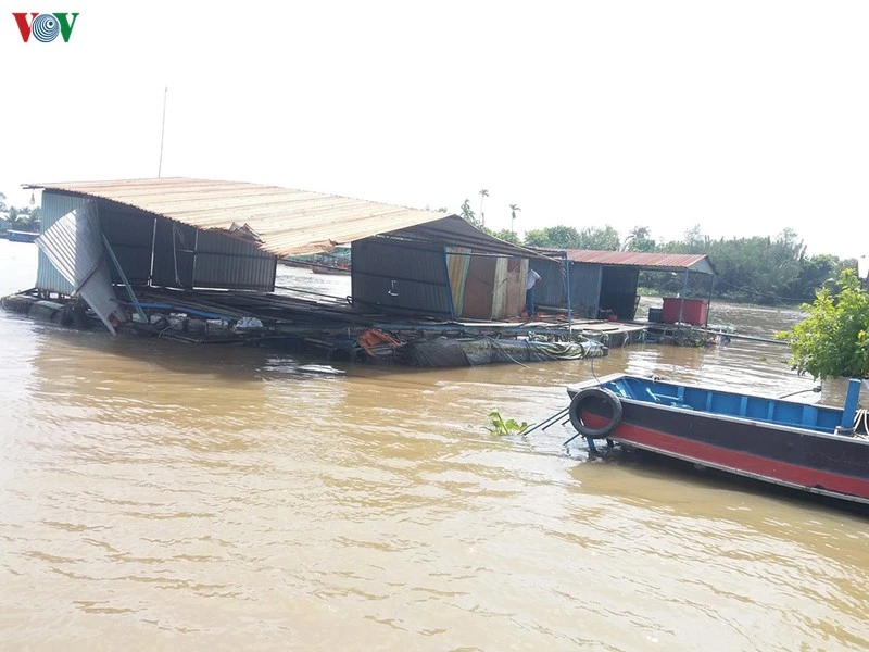 Nuôi cá bè trên sông Tiền tại thành phố Mỹ Tho thường xuyên bị rủi ro do tai nạn giao thông.