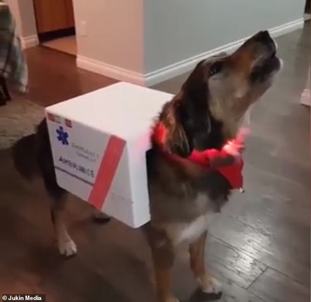 Hình ảnh hài hước của River Hình ảnh hài hước của River