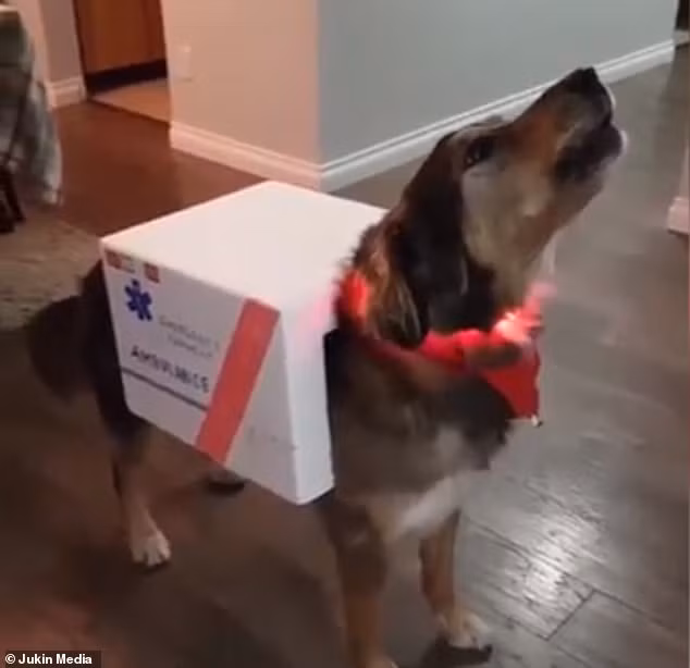 Hình ảnh hài hước của River