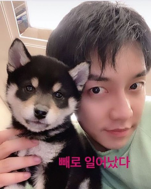 Ngắm bộ sưu tập thú cưng đình đám của loạt idol Kpop ảnh 4