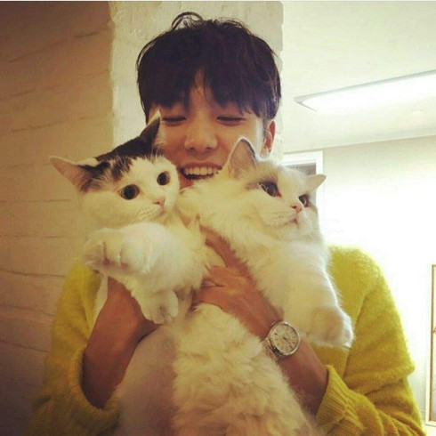 Ngắm bộ sưu tập thú cưng đình đám của loạt idol Kpop ảnh 5