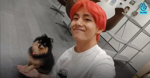 Ngắm bộ sưu tập thú cưng đình đám của loạt idol Kpop ảnh 9