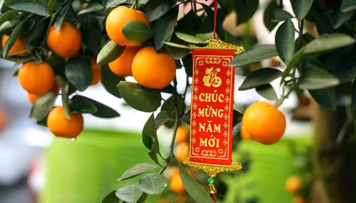 Năm 2021, trang trí nhà cửa thế nào để vượng tài, vượng lộc ảnh 3