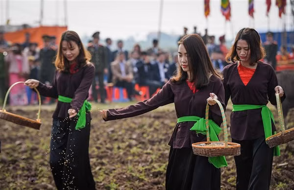 Tịch điền và xuống đồng gieo hạt đầu xuân thể hiện ra nền văn hóa lúa nước lâu đời.