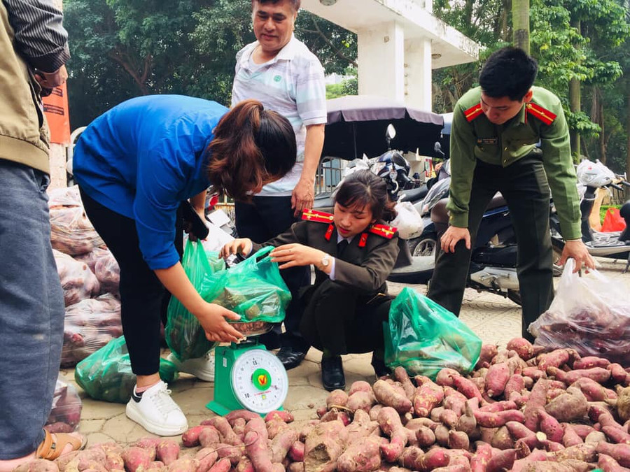 Chương trình "Khoai lang nghĩa tình" Chương trình "Khoai lang nghĩa tình"
