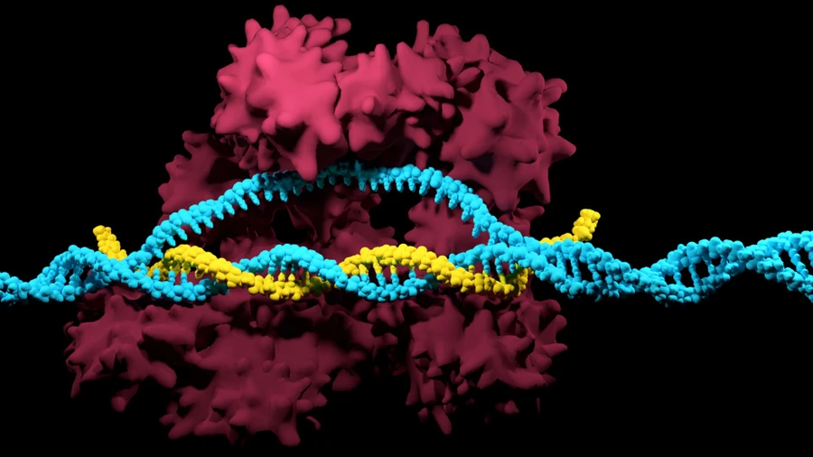 Anh phê duyệt việc sử dụng liệu pháp CRISPR để điều trị hai chứng rối loạn máu di truyền.