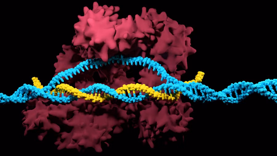 Anh phê duyệt việc sử dụng liệu pháp CRISPR để điều trị hai chứng rối loạn máu di truyền.