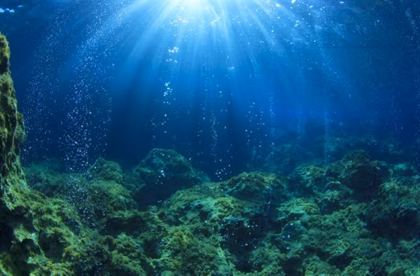 Hiểu biết của chúng ta dưới đáy đại dương của Trái đất ít hơn so với sao Hỏa.