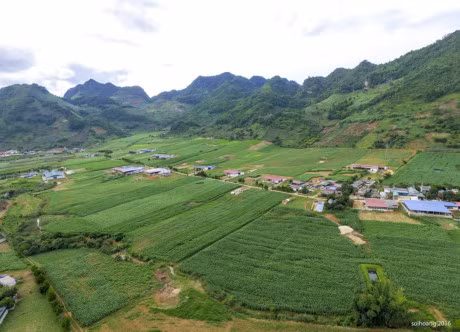 Ngam cao nguyen Moc Chau tu khinh khi cau - Anh 5