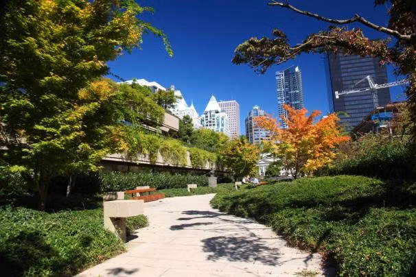 2. Lễ hội hoa anh đào tại Vancouver, Canada. Đây là một lễ hội thường niên đánh dấu sự khởi đầu mùa xuân, và cũng để chiêm ngưỡng vẻ đẹp của những bông hoa.