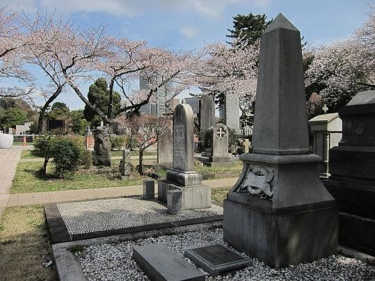 Con đường là một địa điểm thú vị để ngắm hoa anh đào vào tháng 4, nơi mọi người có thể thưởng thức bữa trưa hay thậm chí vào ban đêm.