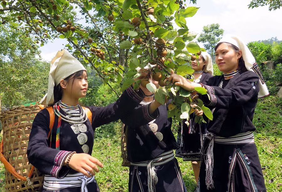 Việc thực hiện chính sách đất đai đối với đồng bào là nhiệm vụ cấp bách và cần được xem xét kỹ lưỡng, thấu đáo, bảo đảm phù hợp thực tiễn, có tính khả thi. Ảnh minh hoạ: TTXVN