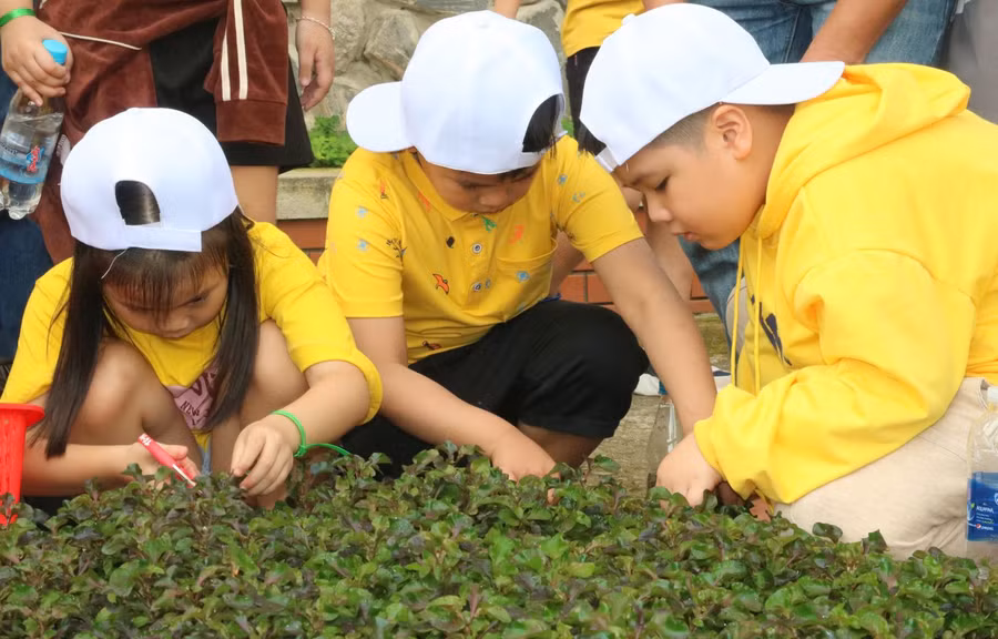 Ảnh minh họa/INT