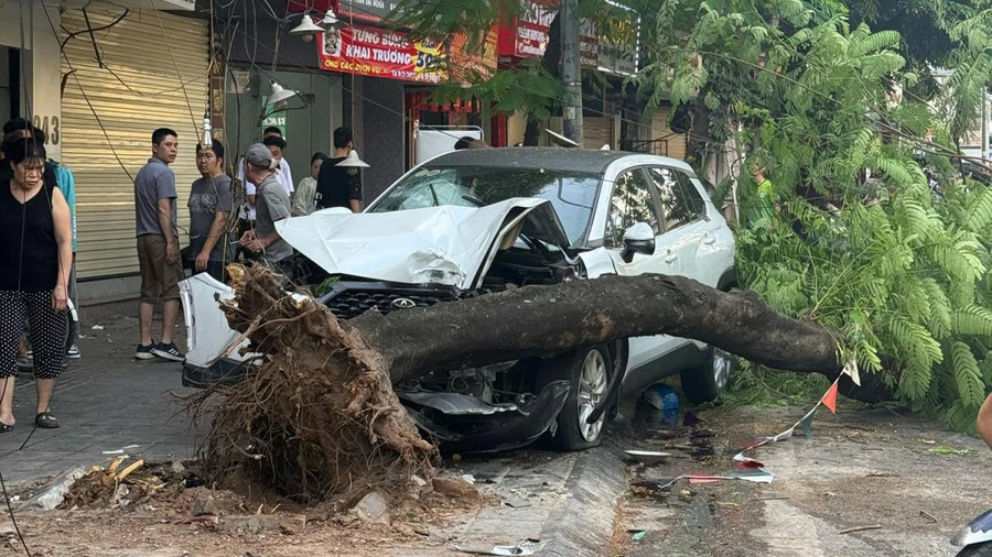 May mắn, chiếc xe chỉ dừng lại khi húc đổ một cây xanh ven đường. 5.jpg