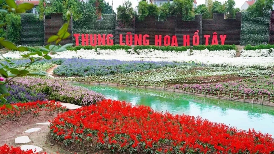 Hơn 28.700m2 đất ở Thung lũng hoa Hồ Tây được đấu giá cho thuê 734 triệu đồng/năm.