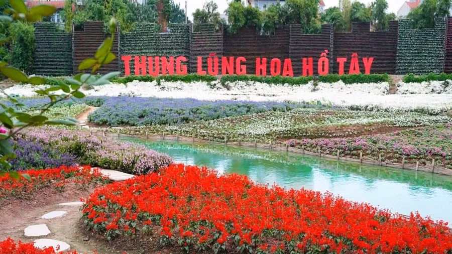 Hơn 28.700m2 đất ở Thung lũng hoa Hồ Tây được đấu giá cho thuê 734 triệu đồng/năm.