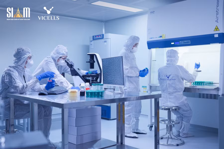 Nghiên cứu ngân hàng Mô - Tế bào gốc VICELLS.