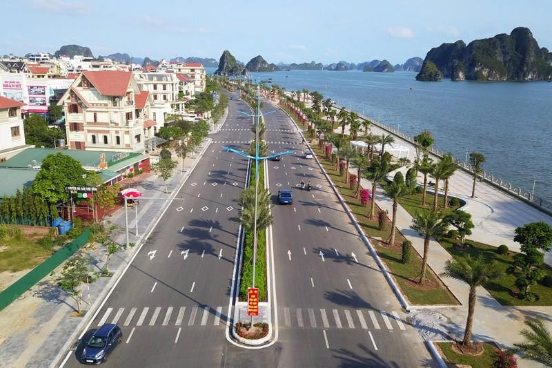 Dấu hiệu cây chết khô ở Dự án đường bao biển Quảng Ninh hơn 2.200 tỷ đồng