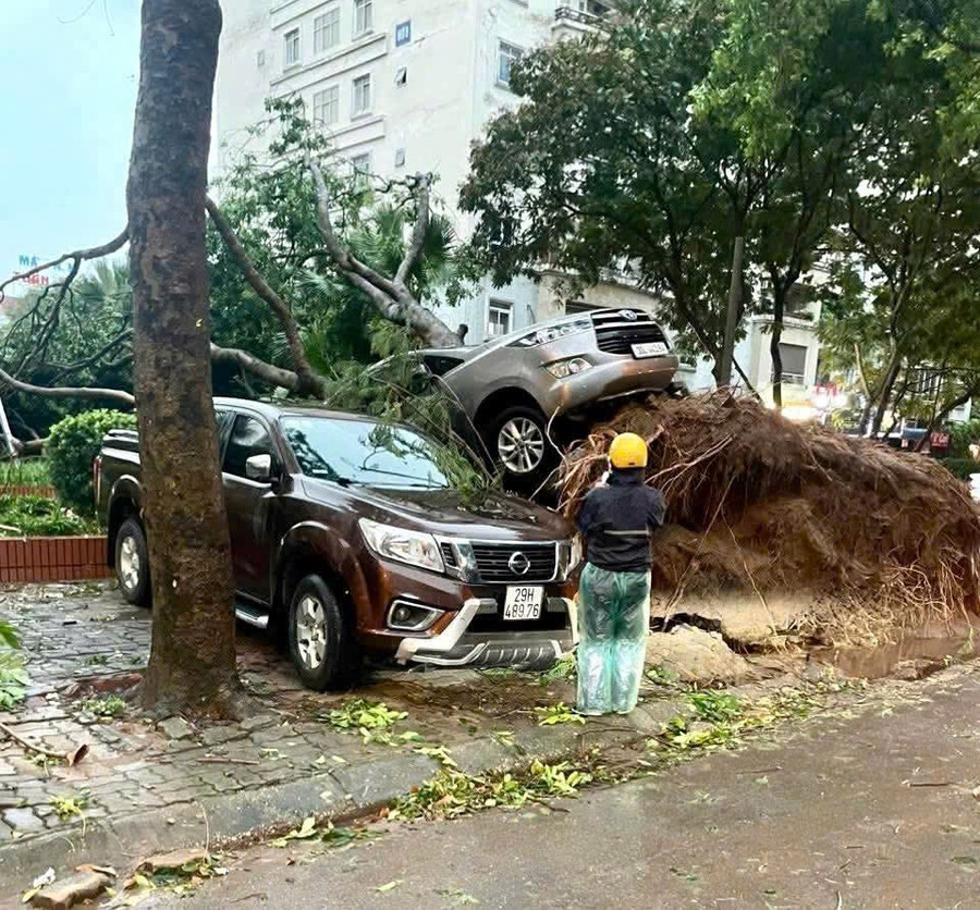 Chiều 19/7, mưa lớn kèm theo gió giật mạnh khiến cây lớn bật gốc kéo theo ôtô hư hỏng. z6821077741745-e0474f472f04000c41cb09bde2f46646.jpg