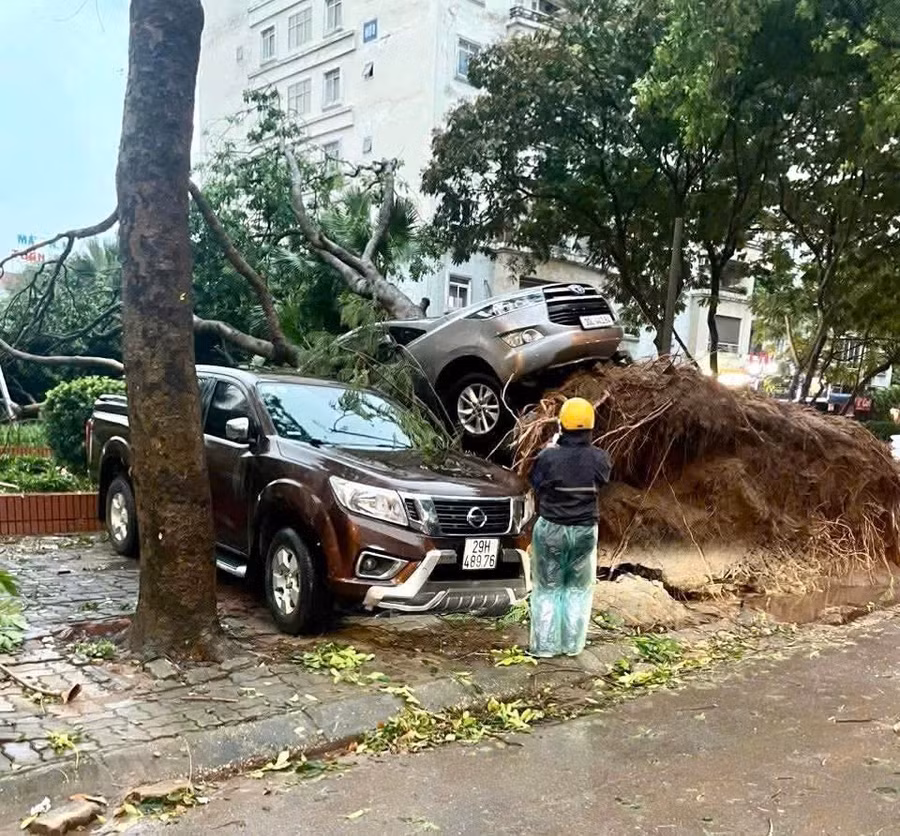 Ảnh: Cây lớn bật gốc kéo theo ôtô hư hỏng.