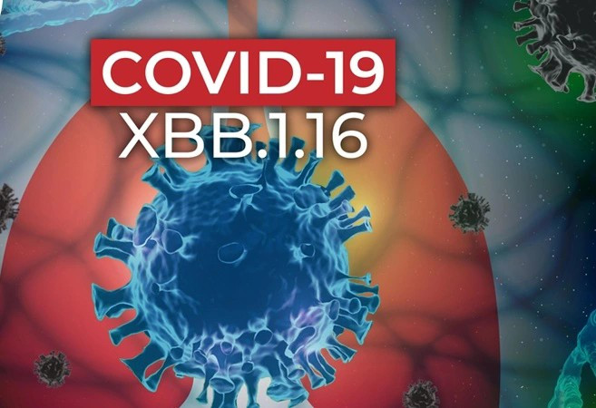 Biến thể phụ XBB.1.16 của bệnh COVID-19 xuất hiện tại Thái Lan. 1-5469.jpg