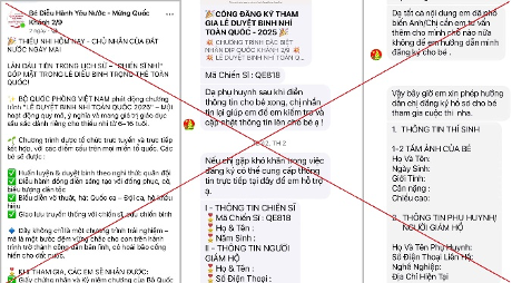 Những thông tin giả mạo sẽ khiến phụ huynh đăng ký và sập bẫy. 19.png