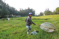 Săn 'tôm bay' kiếm tiền triệu mỗi ngày 