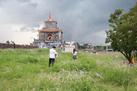 Mùa hoa cỏ lau đẹp nao lòng trên Thượng thành Huế