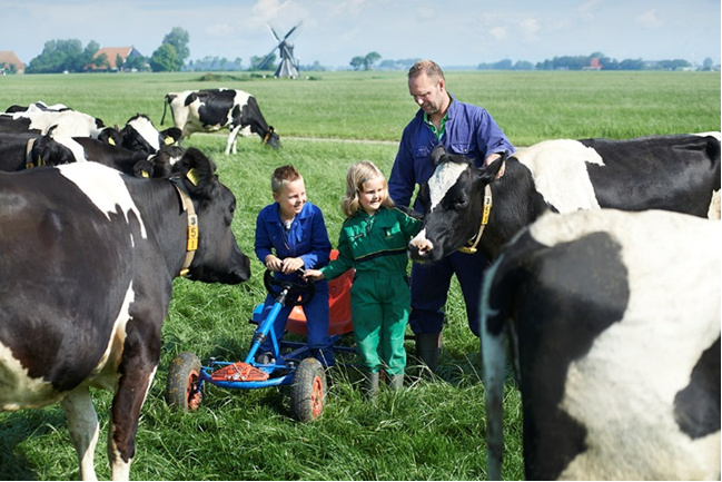 Nông dân “chuẩn Hà Lan” có cách chăm sóc bò đặc biệt như con cái trong gia đình. Nông dân “chuẩn Hà Lan” có cách chăm sóc bò đặc biệt như con cái trong gia đình.