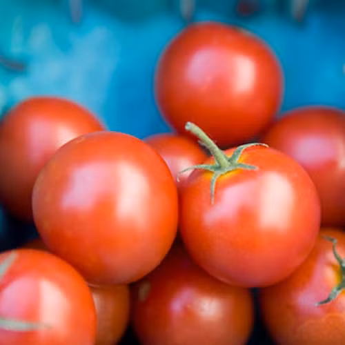 thời điểm ăn nhiều rau củ quả 7