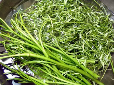 Ăn sống rau muống: Cực độc