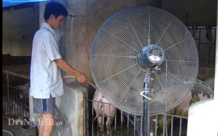 Chum anh: Muon kieu “nang niu” chong nong cho vat nuoi, cay trong