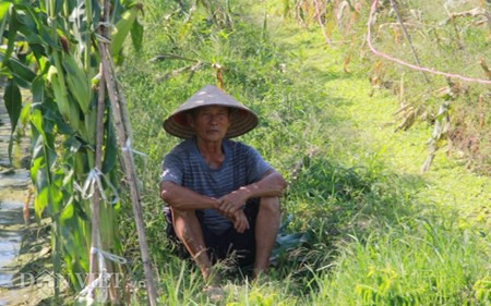 Chum anh: Muon kieu “nang niu” chong nong cho vat nuoi, cay trong