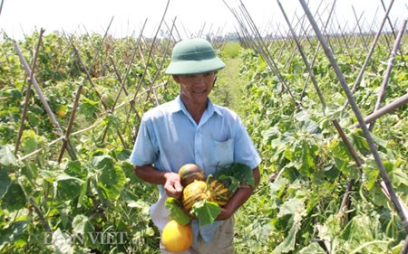 Chum anh: Muon kieu “nang niu” chong nong cho vat nuoi, cay trong