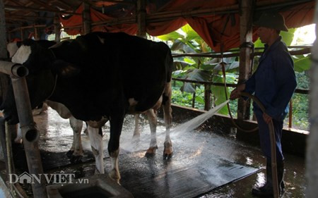 Chum anh: Muon kieu “nang niu” chong nong cho vat nuoi, cay trong