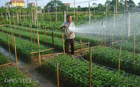Chum anh: Muon kieu “nang niu” chong nong cho vat nuoi, cay trong