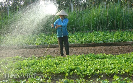 Chum anh: Muon kieu “nang niu” chong nong cho vat nuoi, cay trong