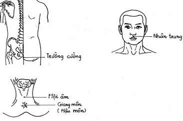 Đông y chữa phạm phòng