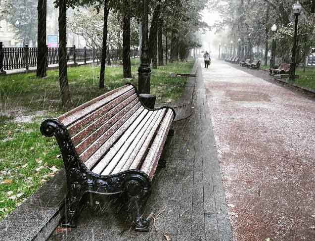 Tuyết đầu mùa phủ trắng thủ đô Nga hình ảnh 4 tuyet dau mua phu trang thu do nga hinh anh 4