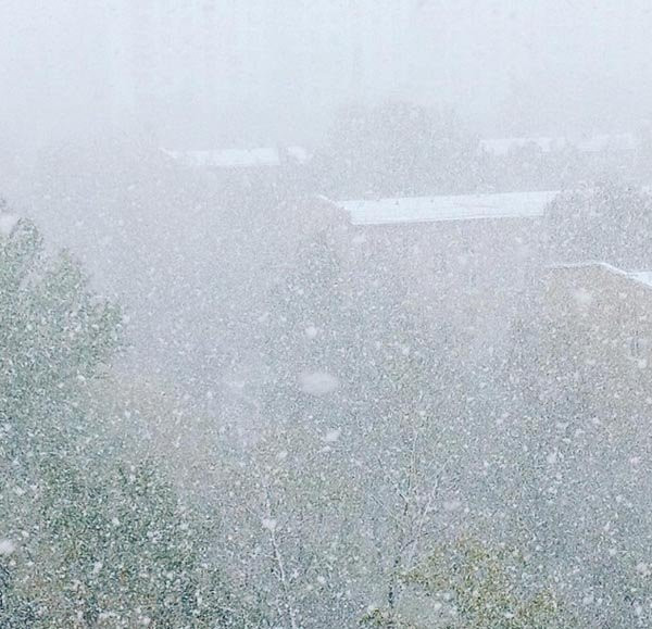 Tuyết đầu mùa phủ trắng thủ đô Nga hình ảnh 6 tuyet dau mua phu trang thu do nga hinh anh 6