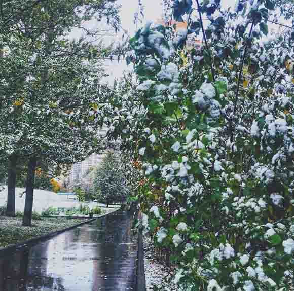 Tuyết đầu mùa phủ trắng thủ đô Nga hình ảnh 3 tuyet dau mua phu trang thu do nga hinh anh 3