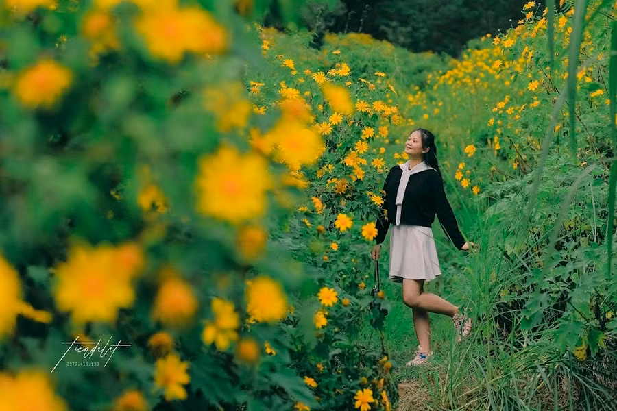 Phụ kiện đi kèm có thể là giỏ mây, bó hoa, xe đạp cổ... Ảnh: Tiến Đà Lạt.